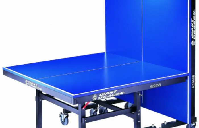 22% Off on Giant Dragon Table Tennis