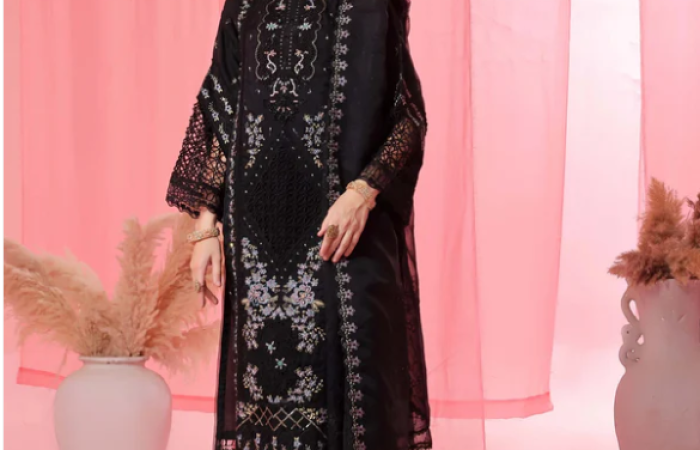 11.11 Sale on Noori By Guzel Embroidered Organza Stitched 3pcs